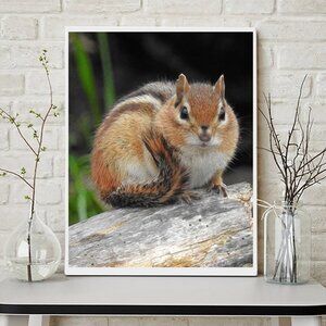 11x14 Cute Chipmunk Photography Oil Painting Art Print‎